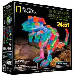 NG-Dino-box